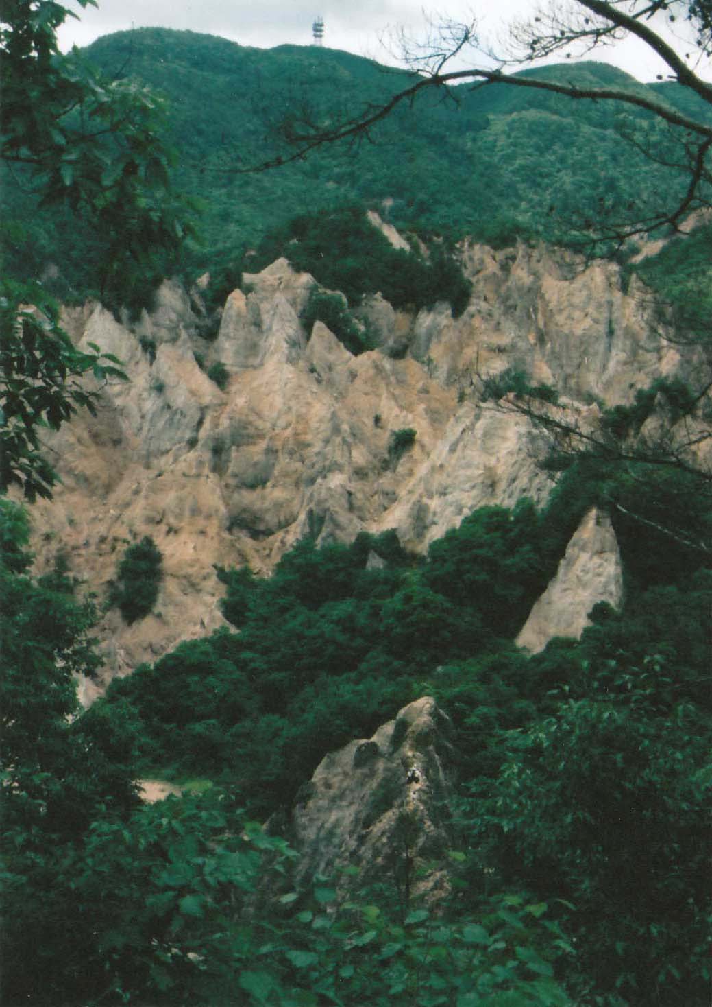 六甲山蓬莱峡周辺の崩落跡